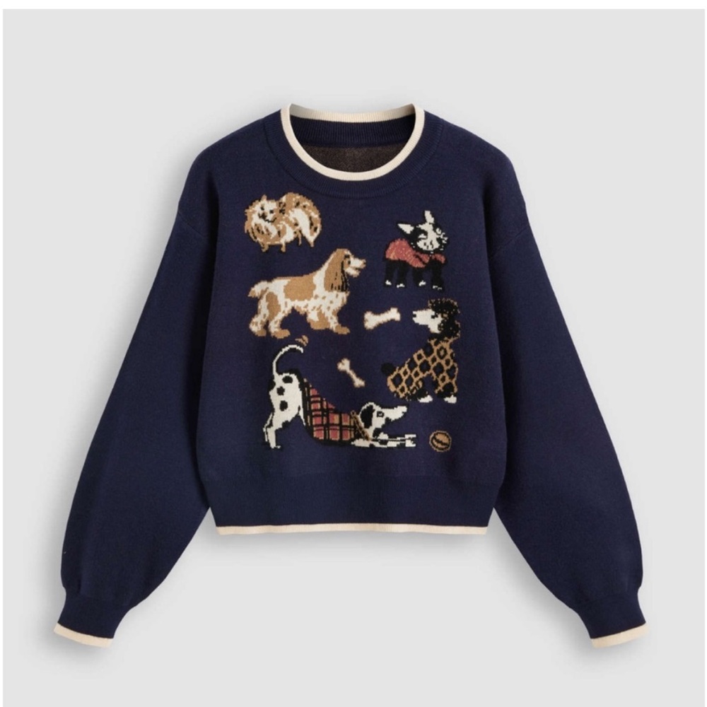 Cider Sweater